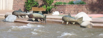 Golden Colorado