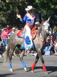hourses Greely 4th July  Parade