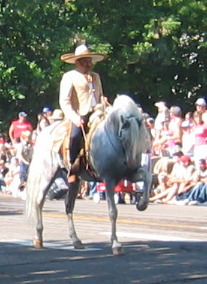 show horses Greele Colorado