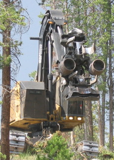 giant timber harvester
