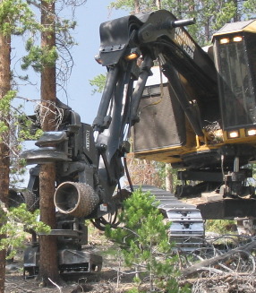 gieant timber harvester
