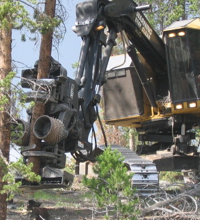 giant tree harvester