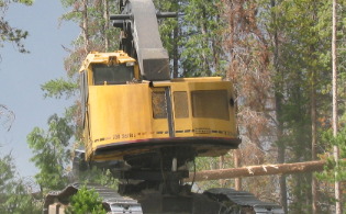 giant tree harvester