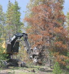 giant tree harvester