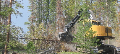 giant tree harvester