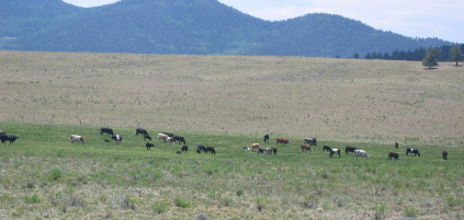 East of Silver Cliff, Colorado