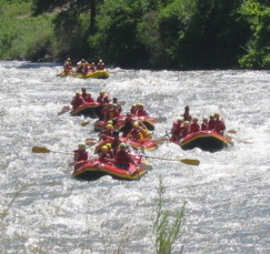 Whitewater rafting on the Arkansas River in Colorado
