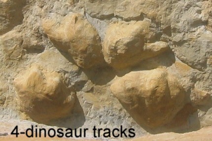 Dinosaur tracks in the Dakota Sandstone on Skyline Drive