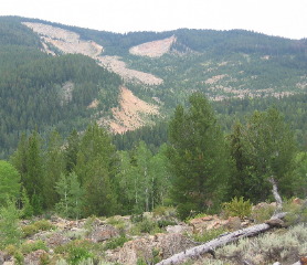 Gros Ventre Landslide near Grand Teton National Park