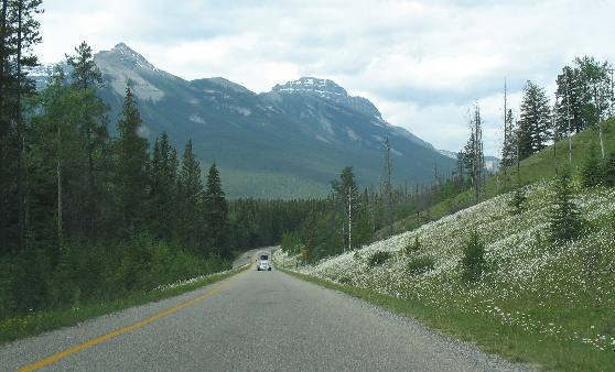 Bow Valley from Bow Valley Parkway Alberta, Canada