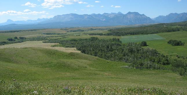 Mountains in Waterton National Park
