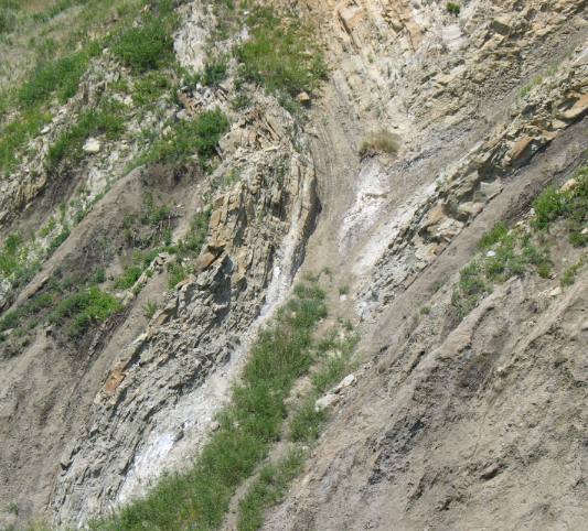 Syncline near Hill Spring, Alberta