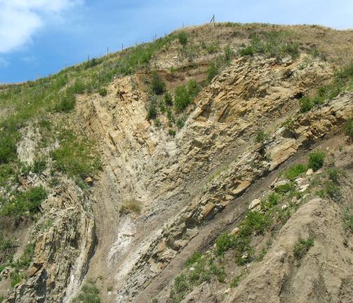 Syncline near Hill Spring, Alberta