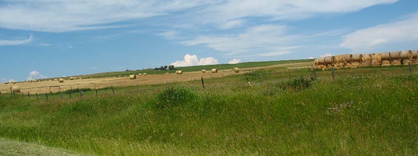 Great Canadian Barn Dance, Hill Spring, Alberta