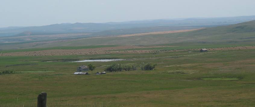 Hill Spring, Alberta