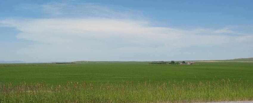 farm house surrounded by grain in Hill Spring, Alberta