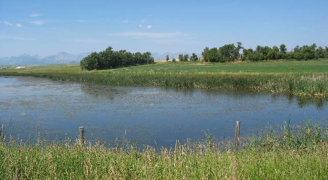 Prairie lake near Hill Spring