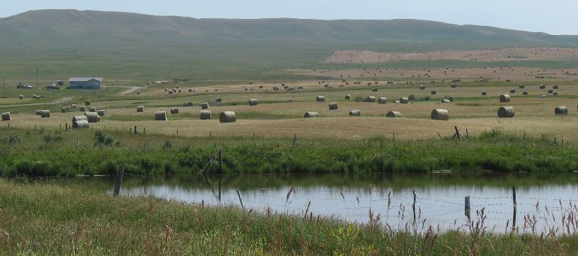 Hill Spring, Alberta near Great Canadian Barn Dance Campground