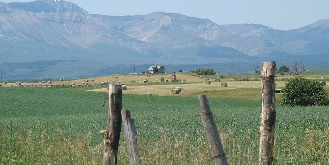 Hill Spring, Alberta near Great Canadian Barn Dance Campground