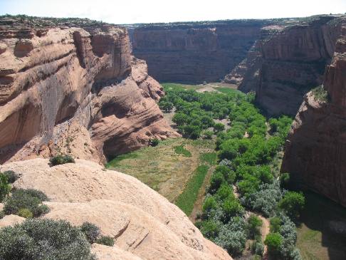 Sandstone Walls viewed from rim of Canyon de Chelly