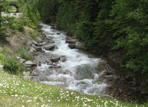 Canadian Rockies, PH93 & Kootenay National Park
