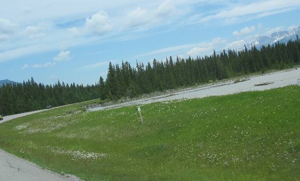 Canadian Rockies, PH93 & Kootenay National Park
