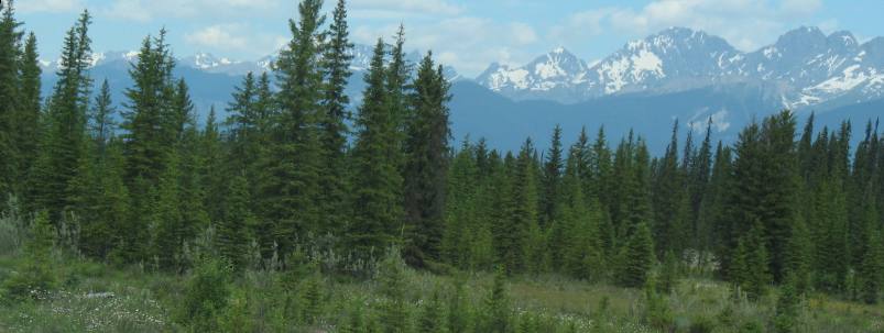 Canadian Rockies, PH93 & Kootenay National Park
