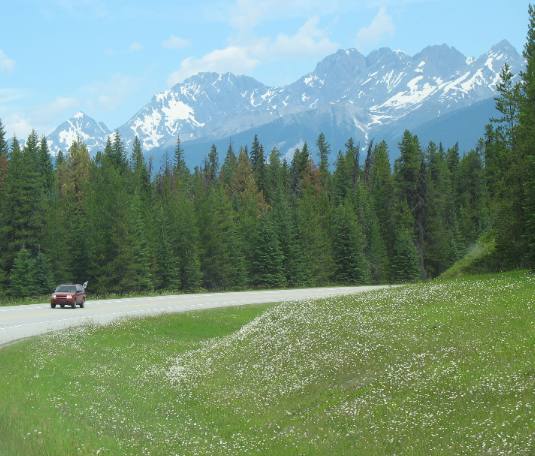 Canadian Rockies, PH93 & Kootenay National Park