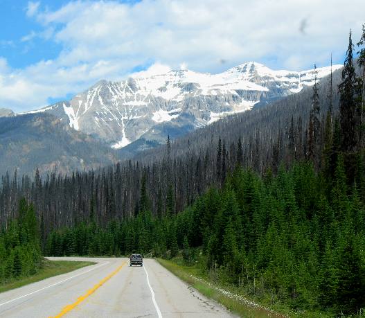 Canadian Rockies PH93 Kootenay National Park