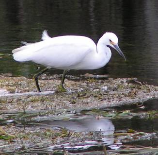 Wakulla Springs State Park