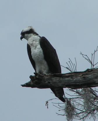 Wakulla Springs State Park