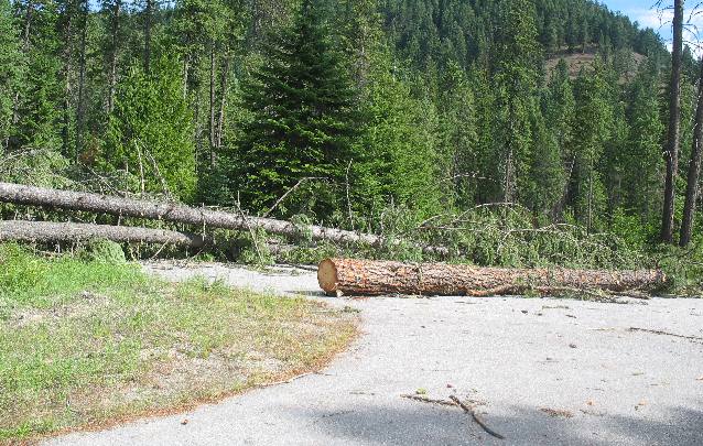 Storm damage near Priest Lake