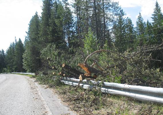 Storm damage near Priest Lake