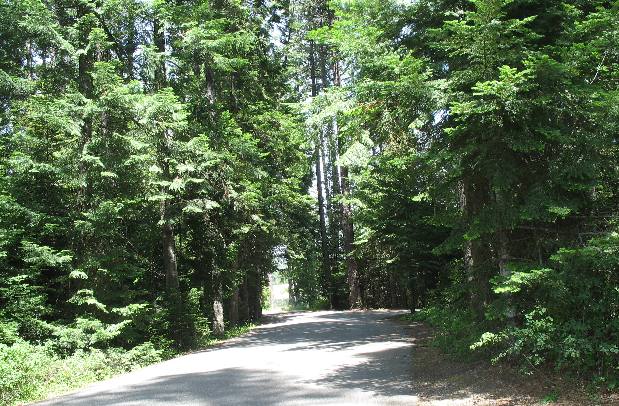 Along Pend Oreille River between Newport, Washington and Sandpoint, Idaho