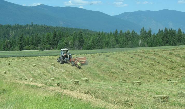 Northern Idaho Hay and grain