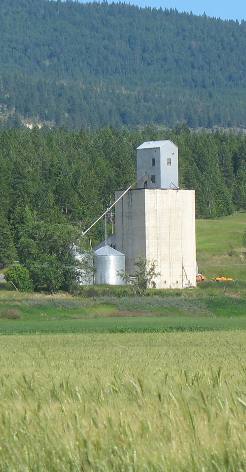 Northern Idaho Hay and grain