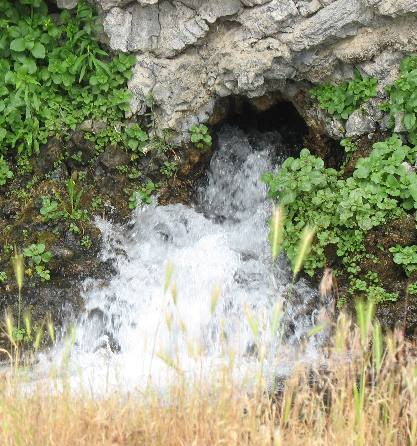 Thousand Springs Hagerman Valley