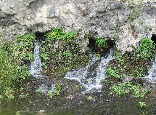 Hagerman Valley Thousand Springs