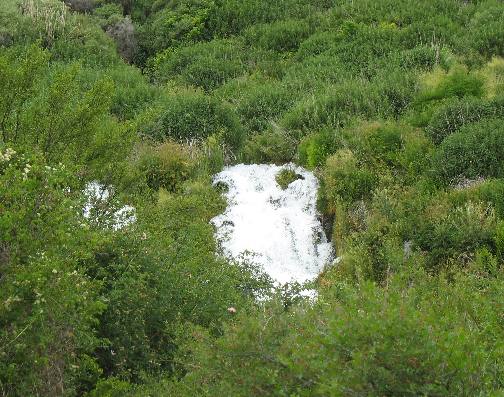 THOUSAND SPRINGS in the Hagerman Valley