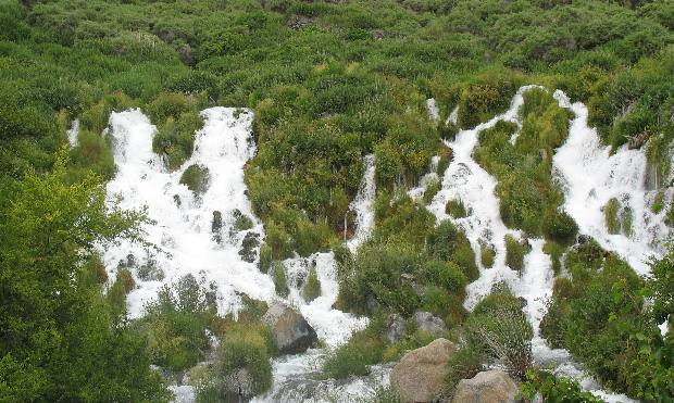 THOUSAND SPRINGS in the Hagerman Valley