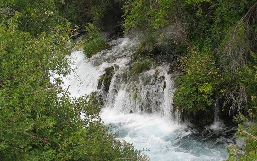 THOUSAND SPRINGS in the Hagerman Valley