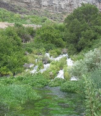Thousand Springs of Hagerman Valley