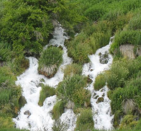 THOUSAND SPRINGS in the Hagerman Valley