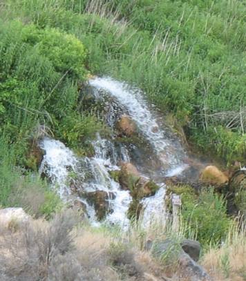 THOUSAND SPRINGS in the Hagerman Valley