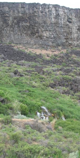 THOUSAND SPRINGS in the Hagerman Valley