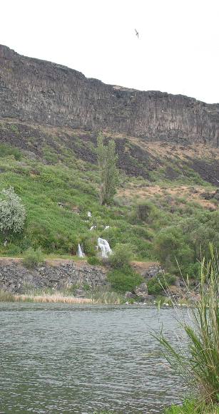 THOUSAND SPRINGS in the Hagerman Valley