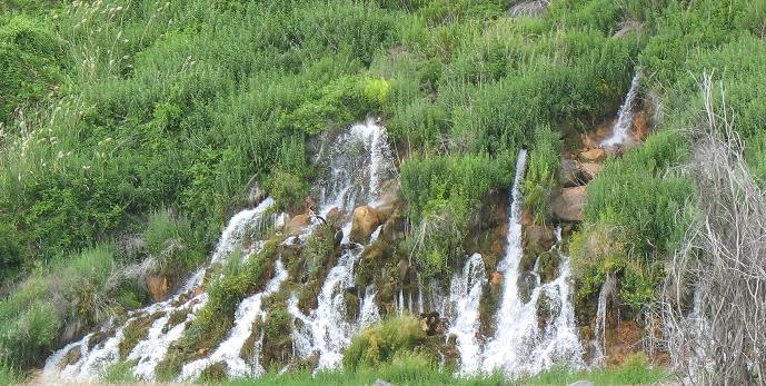 THOUSAND SPRINGS in the Hagerman Valley