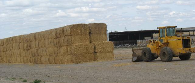 Idaho Dairy hay storage
