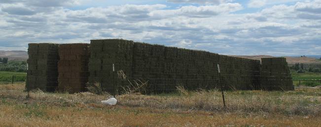 Alfalfa stored in the Snake River Valley for southern Idaho's dairy industry