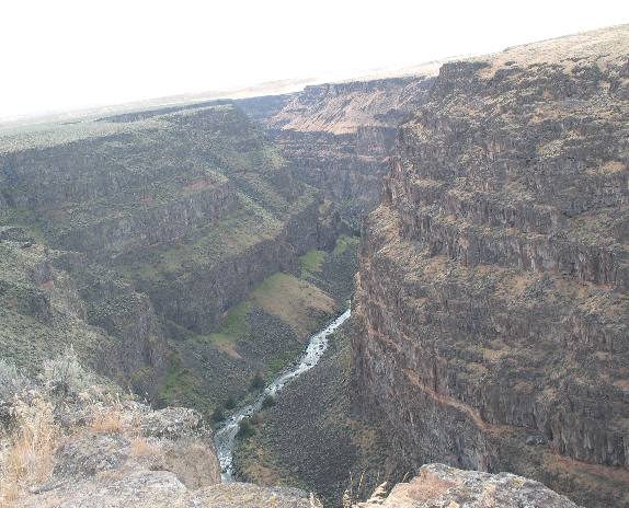 Bruneau Canyon